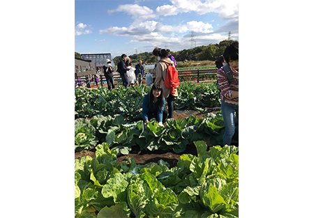 【東京都北部地区】「黒川農場　収穫祭」見学・体験のご案内