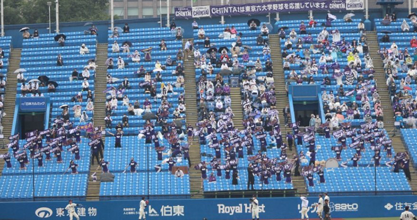 東京六大学野球 2022 春季リーグ 神宮球場内野席観戦の報告