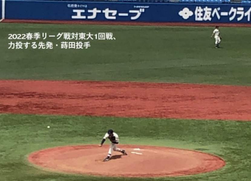 東京六大学野球2022春季リーグ戦(5/21対立教大学)　チケットプレゼント