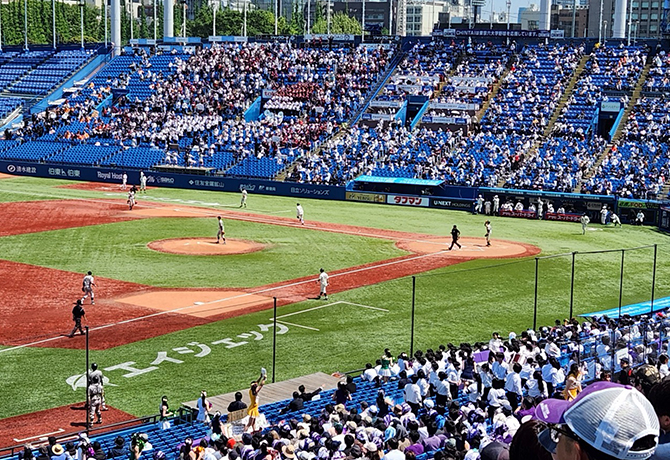 東京六大学野球2024年秋季リーグ戦 神宮球場応援席チケットプレゼント