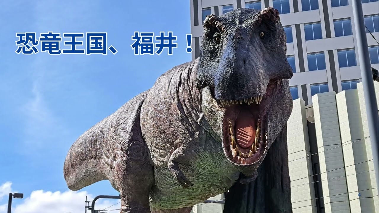 福井県地区紹介動画