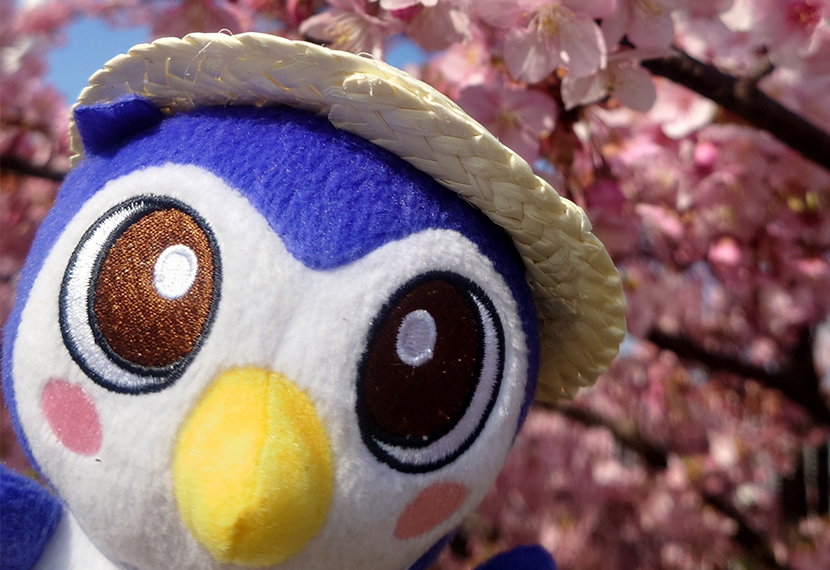 2025年度　東京都東部地区父母会　日帰りバス研修会「～地上と地下で学ぶ―東京の防災最前線～」実施報告