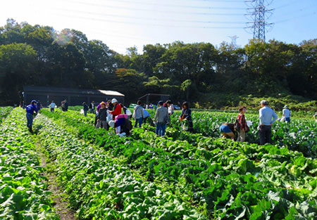 【東京都北部地区】「黒川農場 収穫祭」見学・体験のご案内